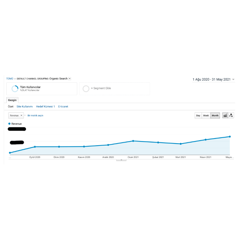 easycep-early-time-seo-success