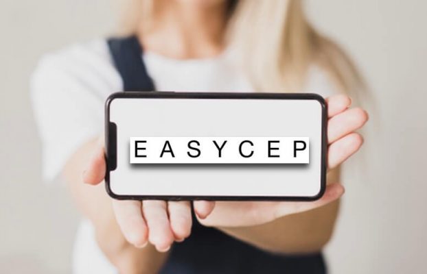 Easycep Ecommerce SEO Success story